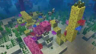 《Minecraft》珊瑚在哪？怎麼拿？用途解析