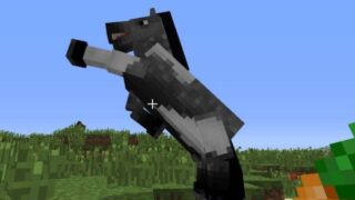 《Minecraft》尋找、馴服、騎乘與繁殖馬匹教學